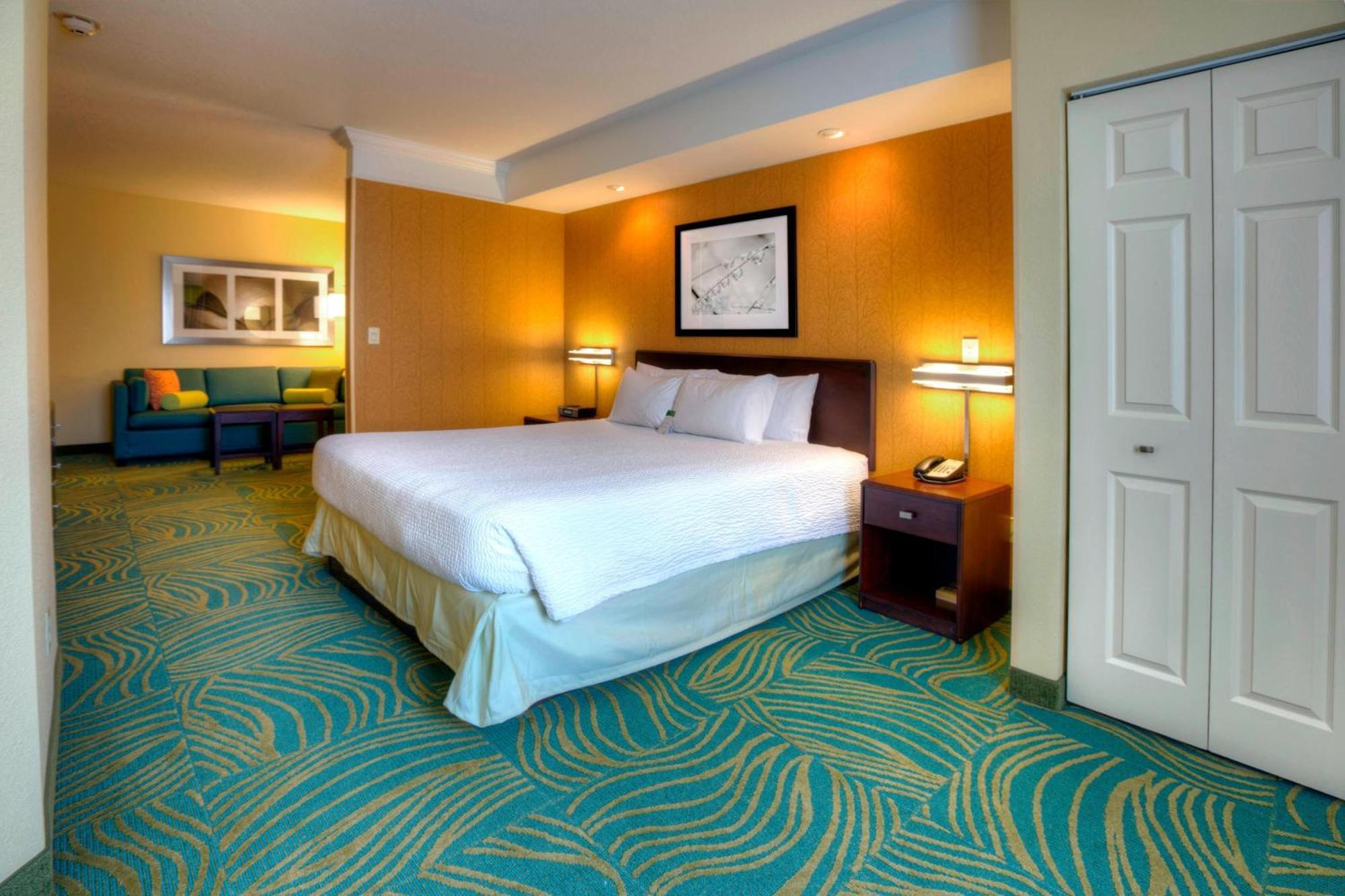 Springhill Suites By Marriott - Tampa Brandon Heartland Eksteriør bilde